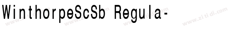WinthorpeScSb Regula字体转换 WinthorpeScSb Regula字体转换